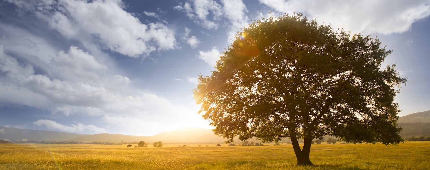 女力綻放❤️ 遇見更好的自己